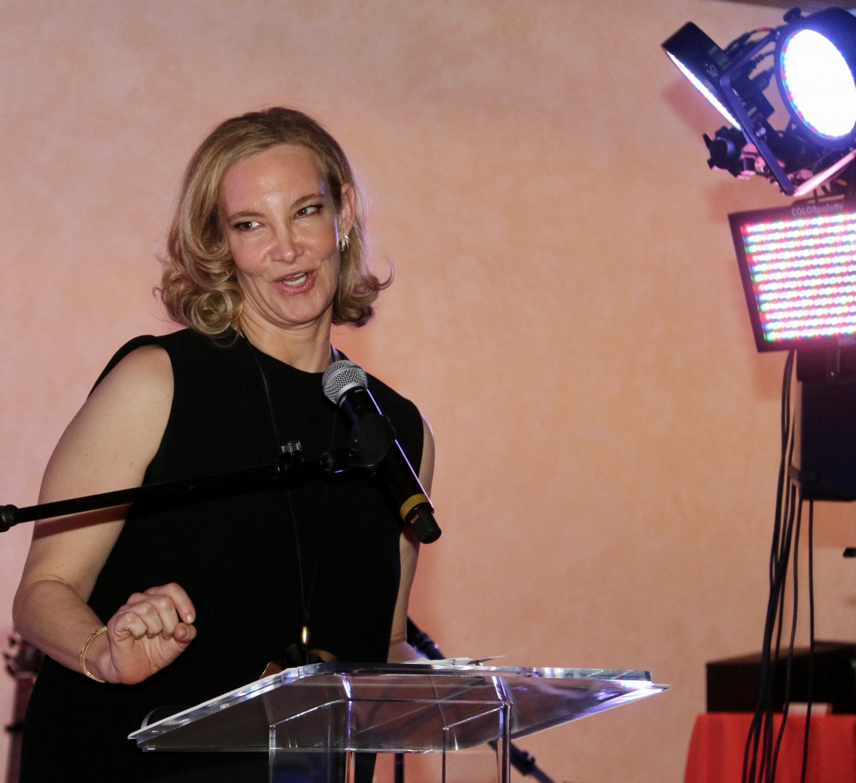 Marsha Cohen accepting the 2016 Philadelphia Bar Foundation Award