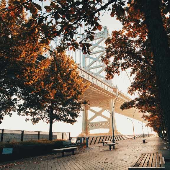 Image taken by Devon Wellesley of a section of the Ben Franklin Bridge in Philadelphia, PA seen in between two sets of trees lining a concrete pier