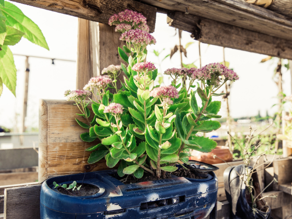 Migrated automatically.