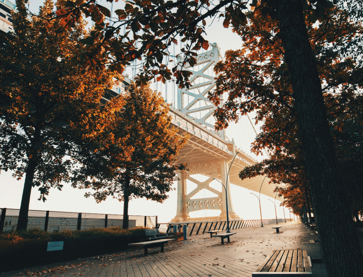 Image taken by Devon Wellesley of a section of the Ben Franklin Bridge in Philadelphia, PA seen in between two sets of trees lining a concrete pier
